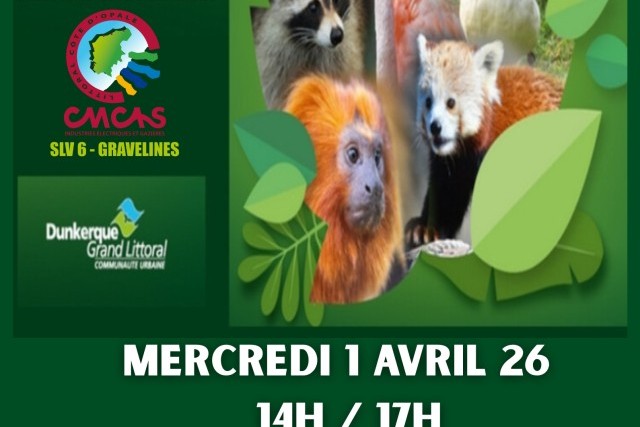 ZOO BIO TOPIA - CHASSE AUX OEUFS