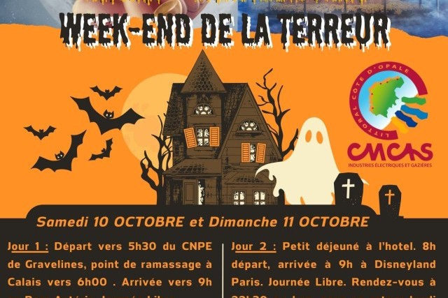 WEEK-END ASTERIX + DISNEYLAND