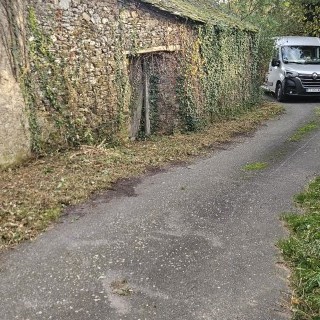 débroussaillages