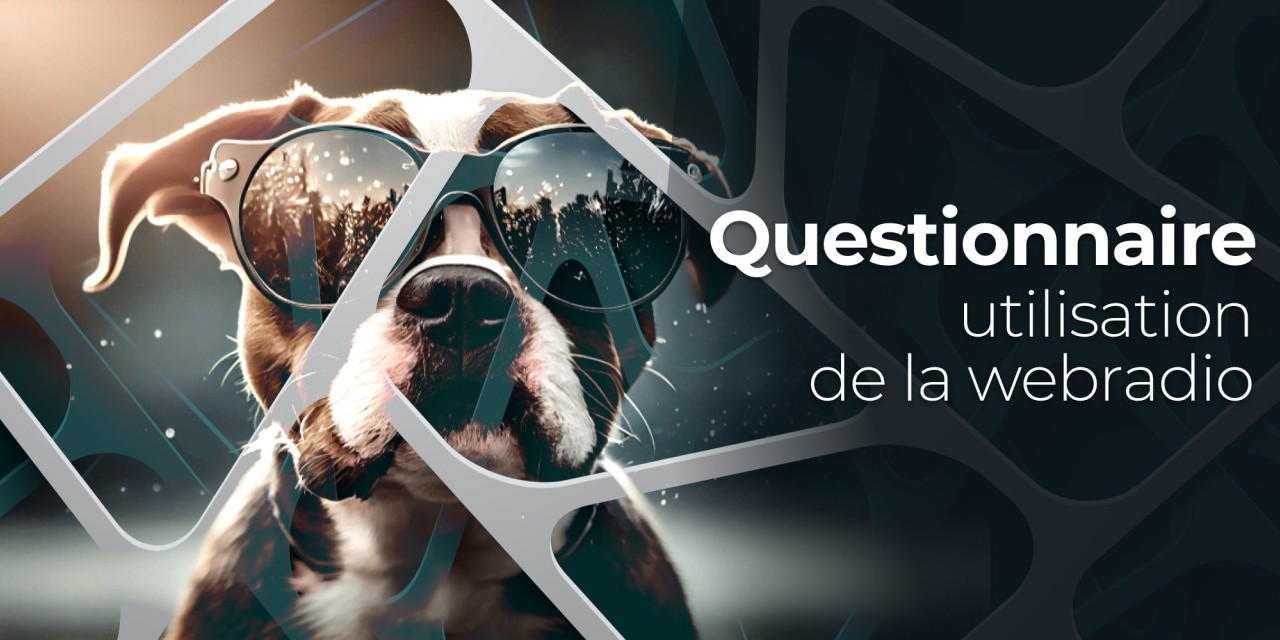 Stereo gang à ton écoute