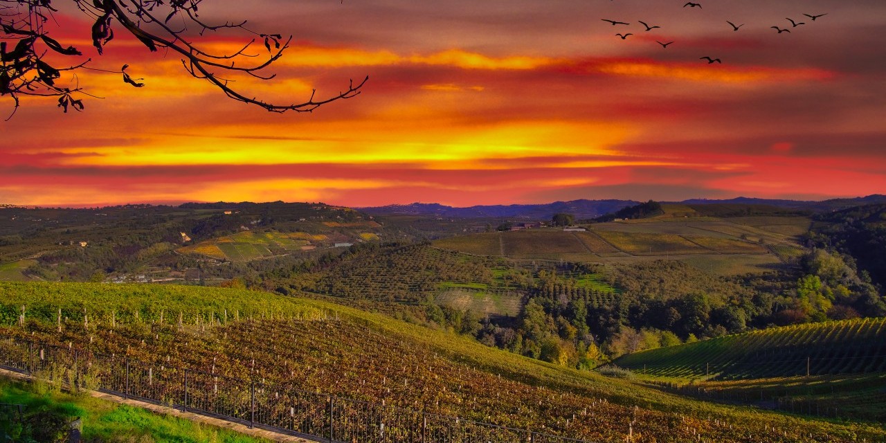 Pourquoi faire appel à un paysagiste ?