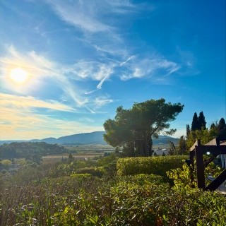 Entretien espace vert