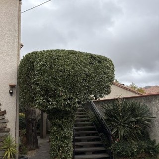 Entretien espace vert