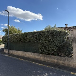 Entretien espace vert