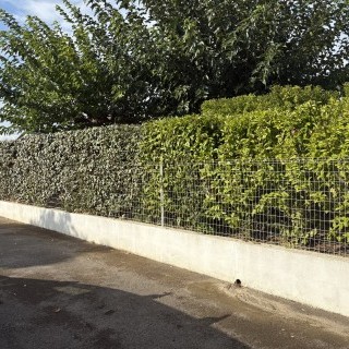 Entretien espace vert