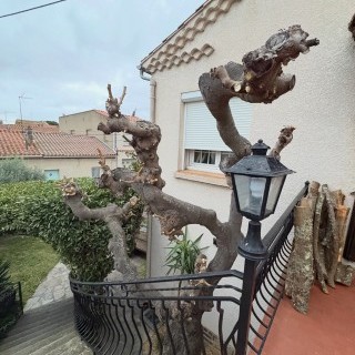 Entretien espace vert