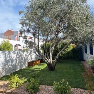 Aménagement paysager