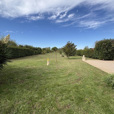 Entretien espace vert