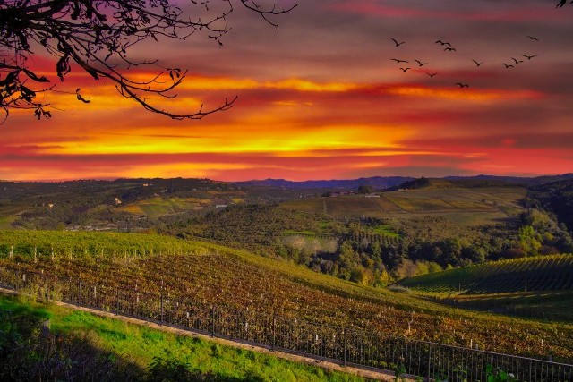 Pourquoi faire appel à un paysagiste ?