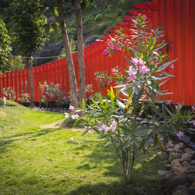 Profitez du crédit d'impôts de 50 %