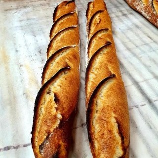 Nos créations