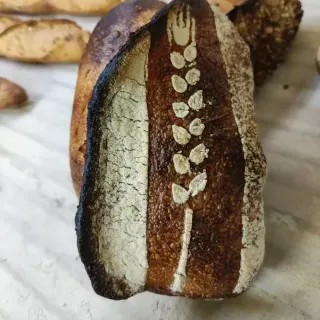 Nos créations