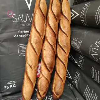 Nos créations