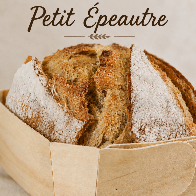 Le Petit épautre