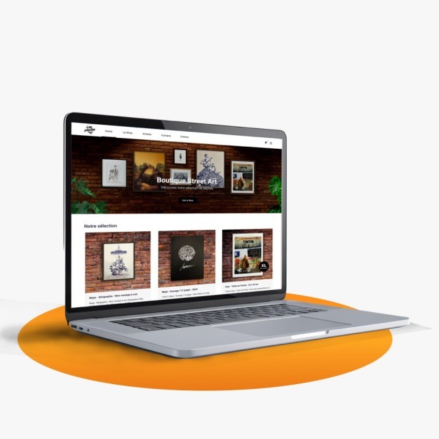 Conception de site internet professionnel