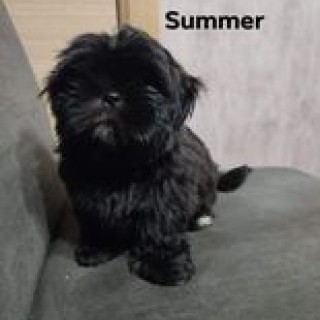 summer quand elle était bébé (couleur noir)